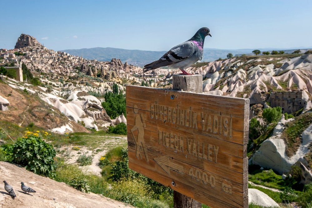 cappadocia informazioni turistiche Pigeon Valley