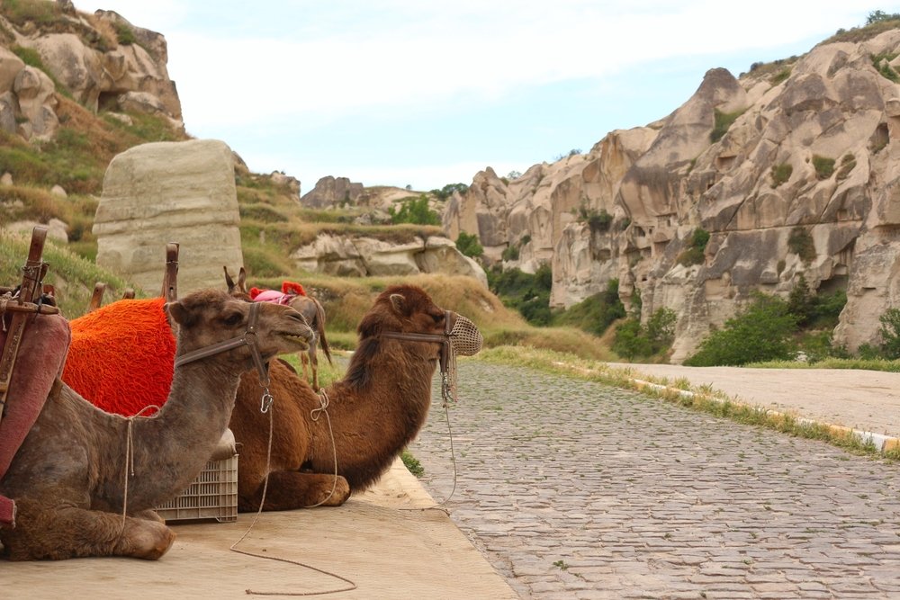 cappadocia informazioni turistiche giro in cammello