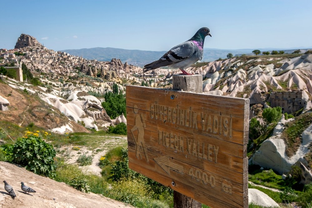 cappadocia touris information Pigeon Valley