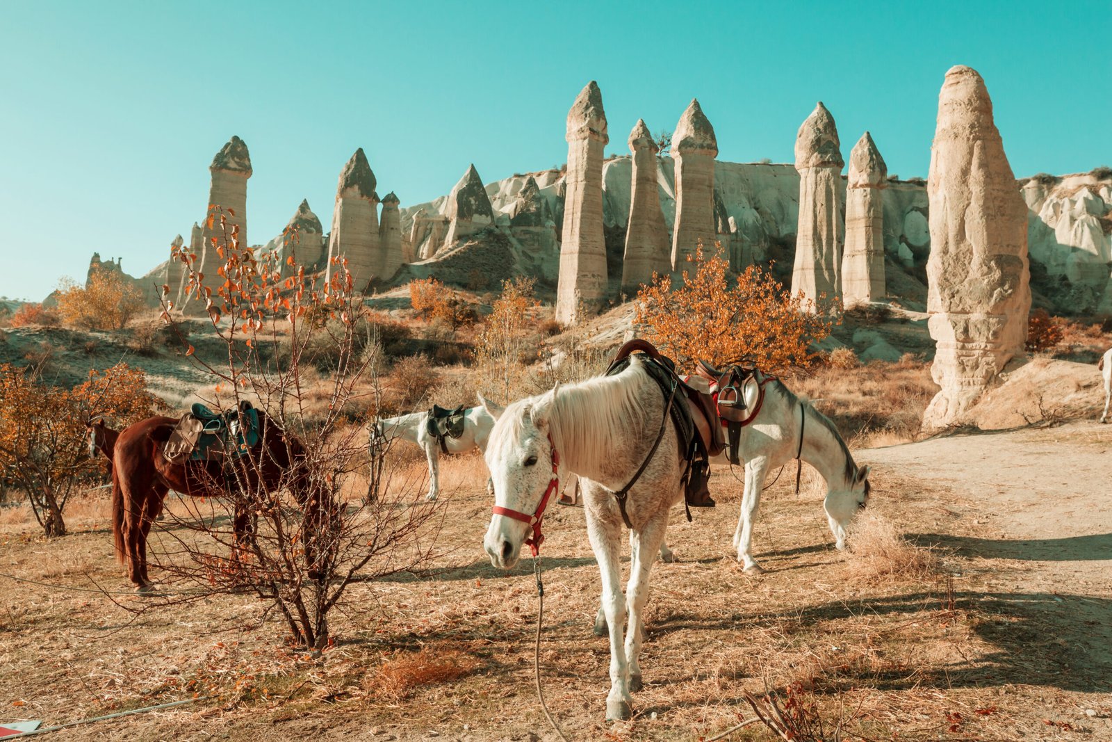 informazioni turistiche sul cavallo-cappadociato