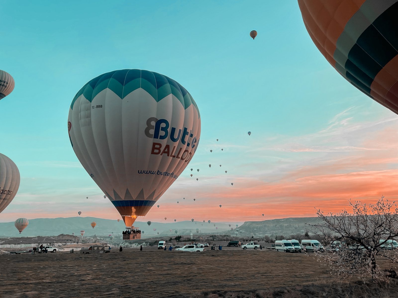 tessera abbonamento museo Cappadocia- -cappadociatouristinformation