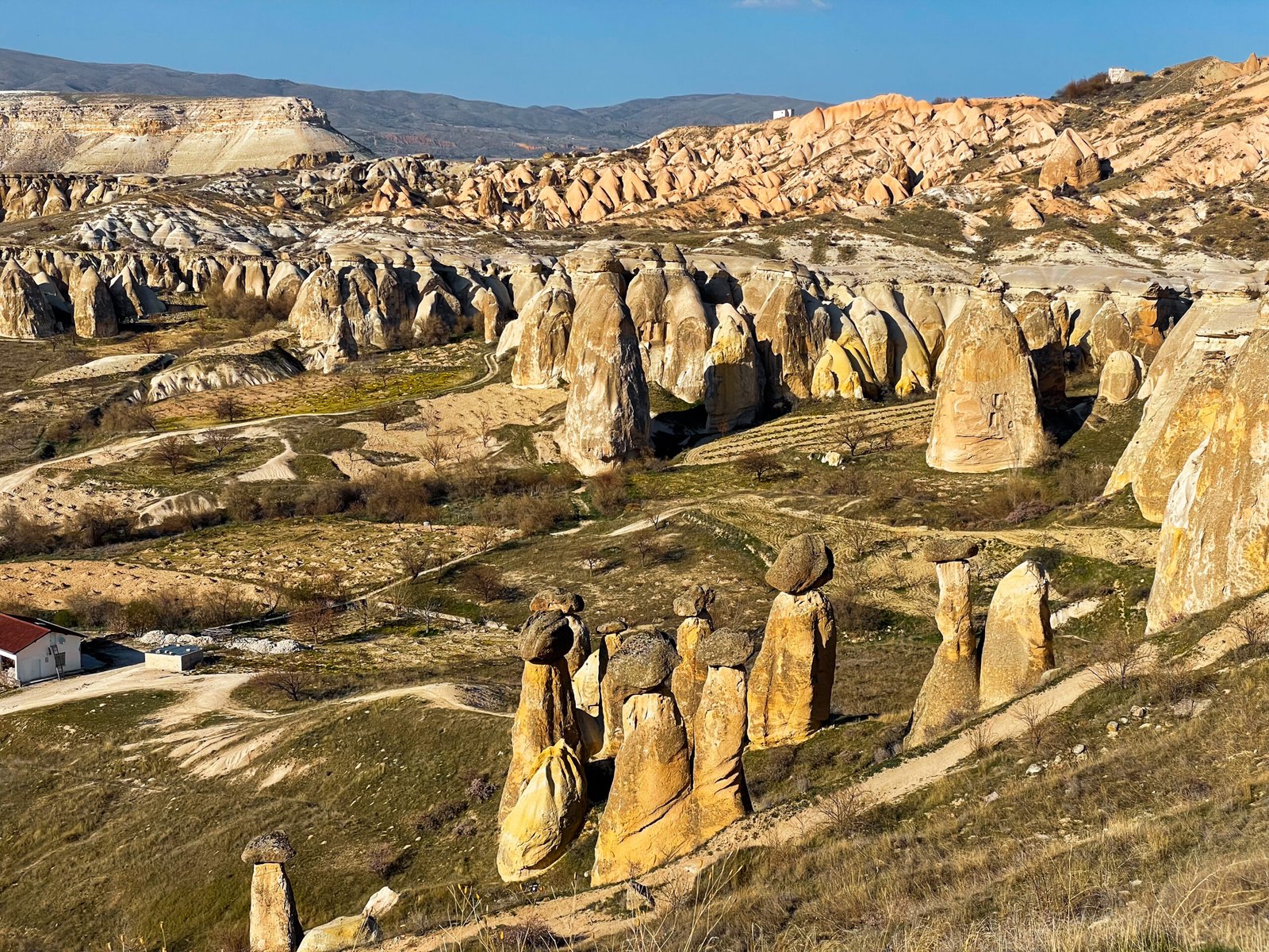 rose-valley-cappadociatouristinformation